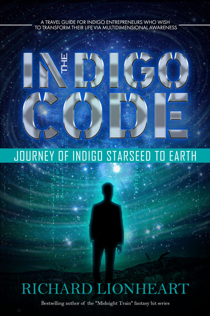 The Indigo Code book cover